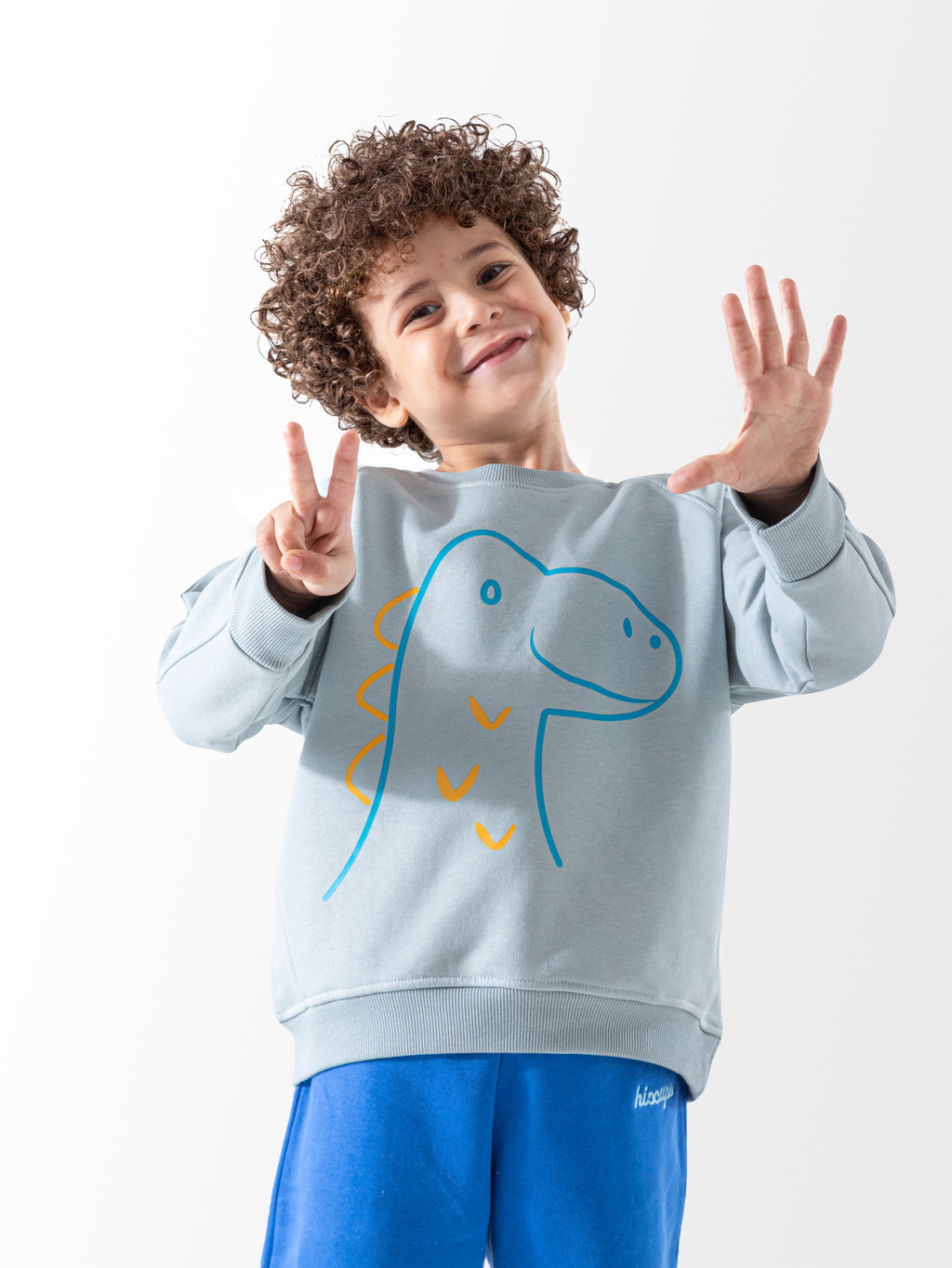 Baby Blue Printed Crewneck