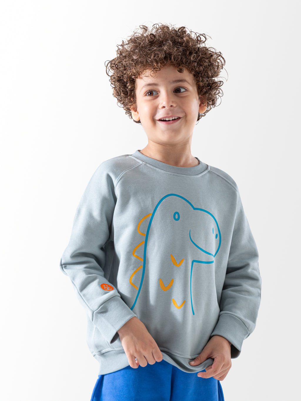 Baby Blue Printed Crewneck