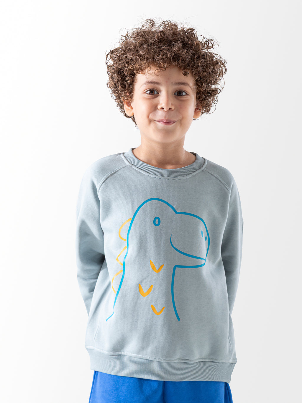 Baby Blue Printed Crewneck